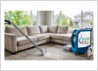 Deep Wet-Brush Cleaning: The Secret to Making Your Carpets Last Twice as Long