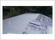Palmetto Roofing