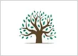 HD Tree Services
