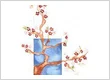 rittenhouseacupuncture@emailsl.com