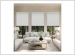 Motorized Roller Blinds