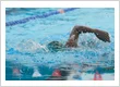 Women Freestyle Swimmer #1