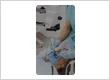 Dental Veneers