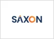 Saxon AI - Enterprise AI Partner