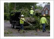 Storm Damage Cleanup