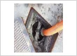 Tiger Grease and Septic