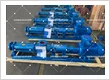 How Can You Effectively Extend the Service Life of G-Series Screw Pumps?