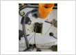 034 residential plumbing contractors near me vancouver