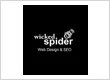 Wicked Spider