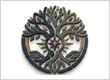 Pranic Energy Healer