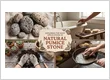 Exploring the Many Applications of Natural Pumice Stone