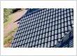 Roof painting - tile roof recoat, Canberra