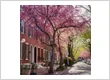 Why Access to Green Space Is Driving Rental Demand in Fairmount