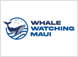 Whale Watching Maui