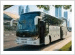 Royal Rider Bus Rentals Dubai: Premier Luxury Transportation in the UAE.
