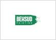 Behsud Painting