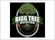 Bigg Tree Rooter & Plumbing