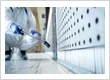Best Cockroach Pest Control in Gandhinagar