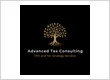 Advanced Tax Consulting