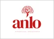 Anlo Financial Solutions