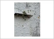 IMG 7733