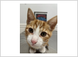 New London Veterinary Center