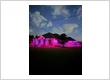 02 bungalow pink magenta dusk sky