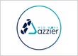Azzier CMMS Information