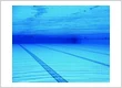 Pool View Under Water