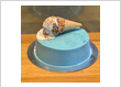 Ice Cream Cakes Melbourne