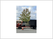 Tree Service La Verne CA