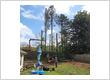 Tree Removal Contractor