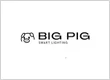 Big Pig Smart Lighting