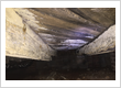 crawl space mold removal service - sedona waterproofing solutions - charlotte nc