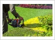🌿 SPRING SHRUB TRIMMING GUIDE FOR A HEALTHIER LANDSCAPE