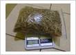 Buy Iboga Root Bark
