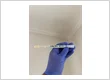 24H Mold 2
