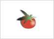 The Tomato Shack Salad & Pizza Co. Conshohocken