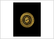 Gold Coin Finance
