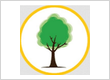 Nottingham Tree Surgeons
