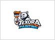 Texora Painting & Drywall