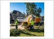 Tree service