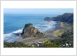 Web Design West Auckland: What Local Businesses Actually Need From a Website
