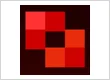 Vivid Software Solutions