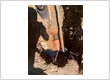 sewer repair 1