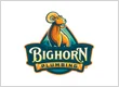 Bighorn Plumbing