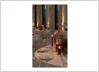 05 burgundy reception