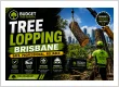 tree lopping service img