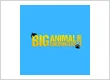 Big Animal Encounters