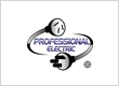 Professional Electric